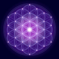 113 Indagine Settimo Raggio Violetto - Ordine e Trasmutazione - Letture Akashiche settimo raggio violetto ordine sacro trasmutazione fiore della vita